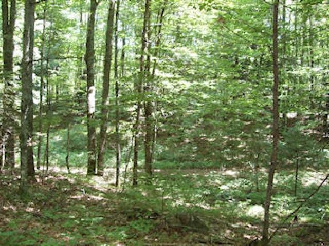 17778 Wallow Road Glidden, WI 54527 - Photo 4 of 16 Gallery Image 4