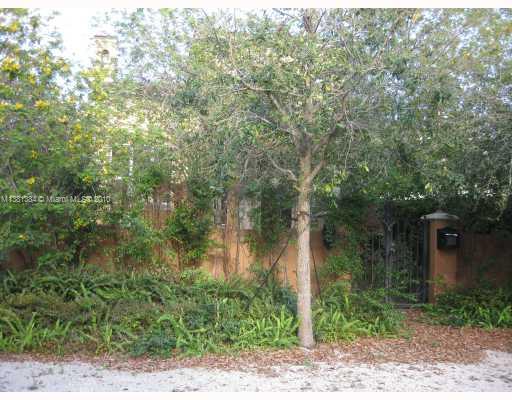 a view of a yard with plants and large trees