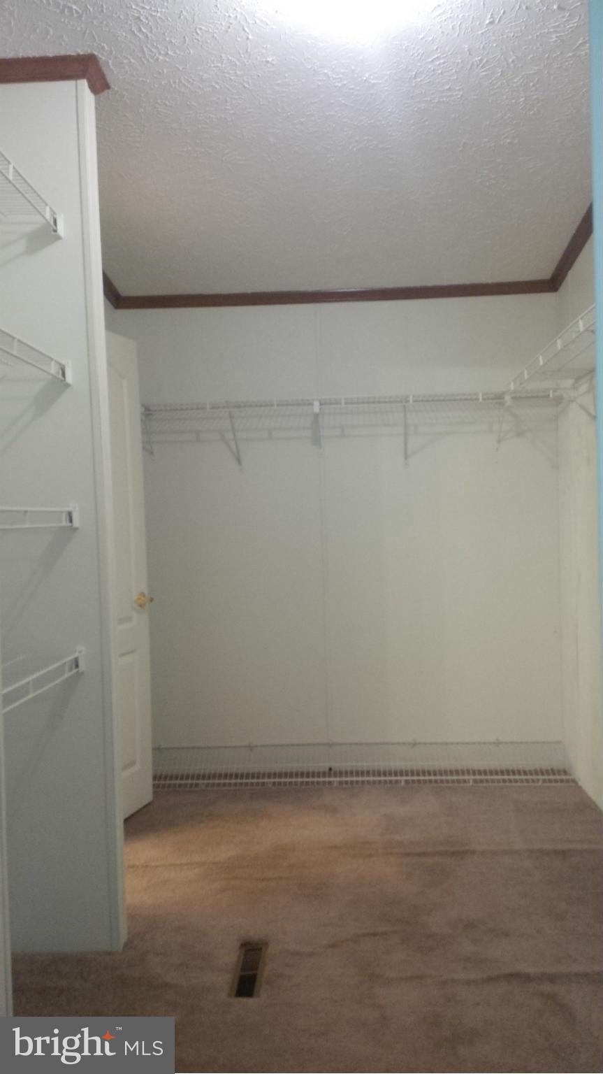 30202 Zoar Road Locust Grove, VA 22508 - Photo 12 of 20 Huge walk in closet