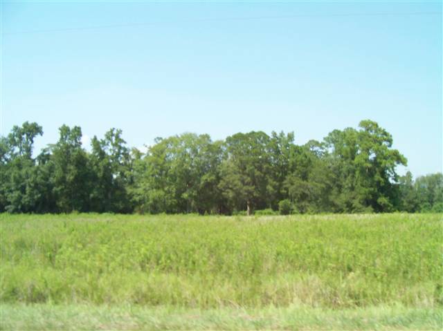 Lot #1 Star Bluff Road Longs, SC 29568 - Photo 2 of 13 Gallery Image 2