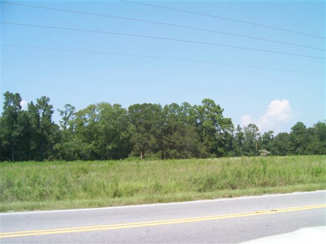 Lot #1 Star Bluff Road Longs, SC 29568 - Photo 5 of 13 Gallery Image 5