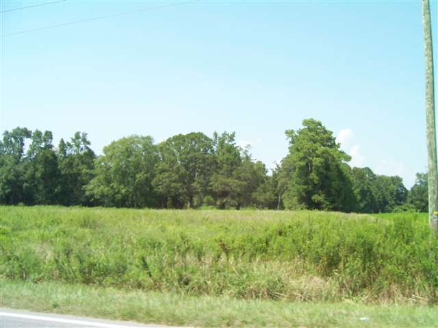 Lot #1 Star Bluff Road Longs, SC 29568 - Photo 7 of 13 Gallery Image 7