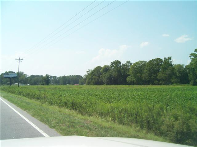 Lot #1 Star Bluff Road Longs, SC 29568 - Photo 8 of 13 Gallery Image 8