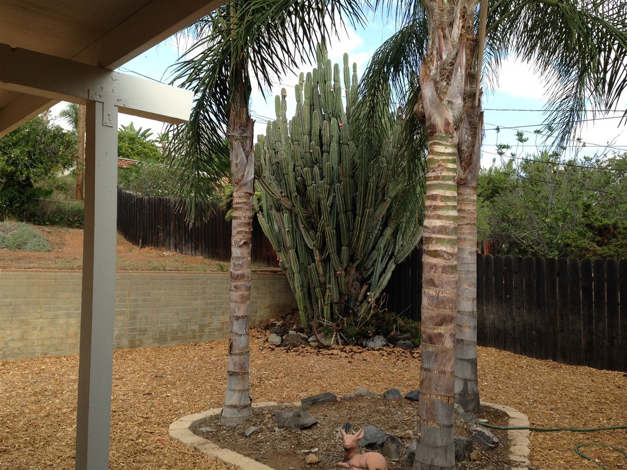1258 Cresthill Road El Cajon, CA 92021 - Photo 23 of 25 Gallery Image 23