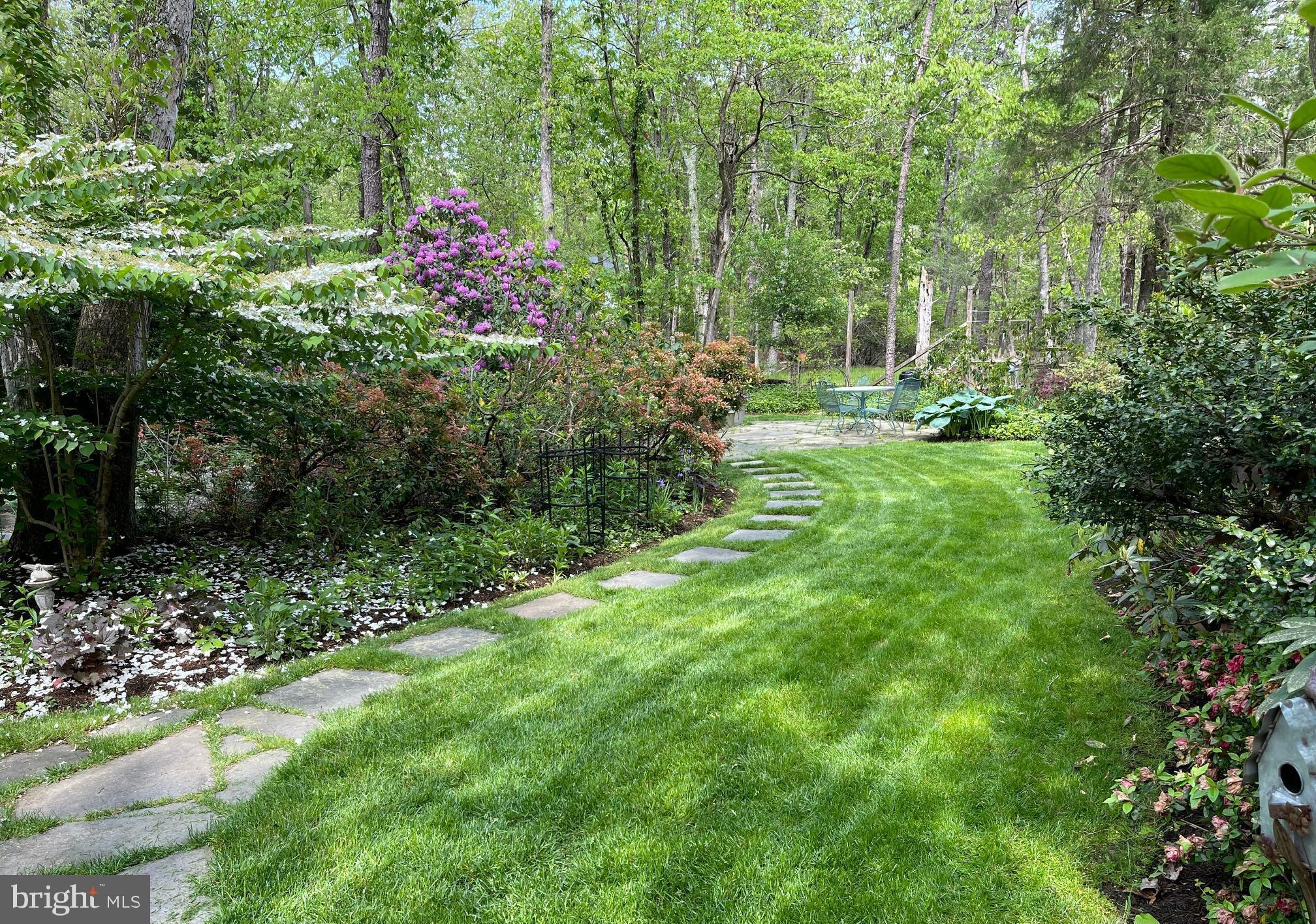 1 Strafford Circle Road Medford, NJ 08055 - Photo 27 of 31 a view of a garden with plants and large trees