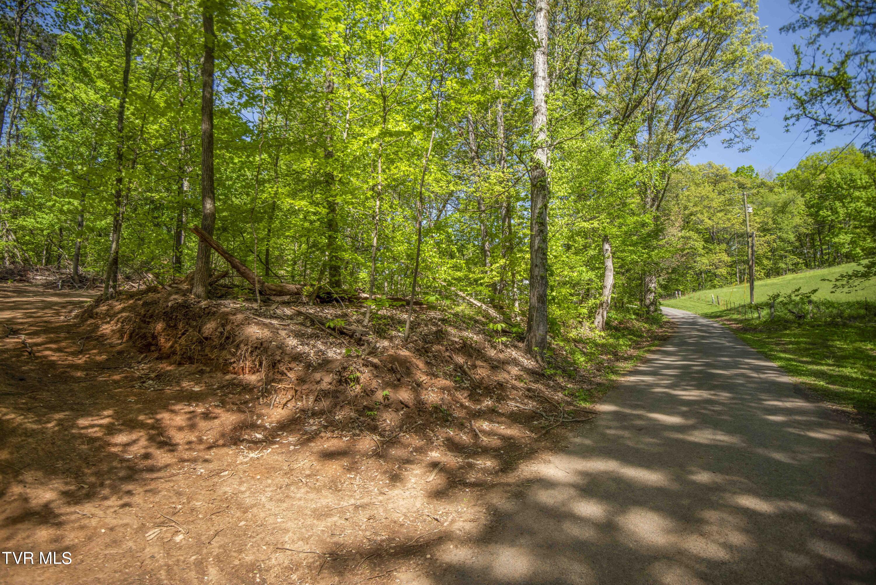 Tbd Dunville Gap Road Rutledge, TN 37861 - Photo 1 of 16 Access from road