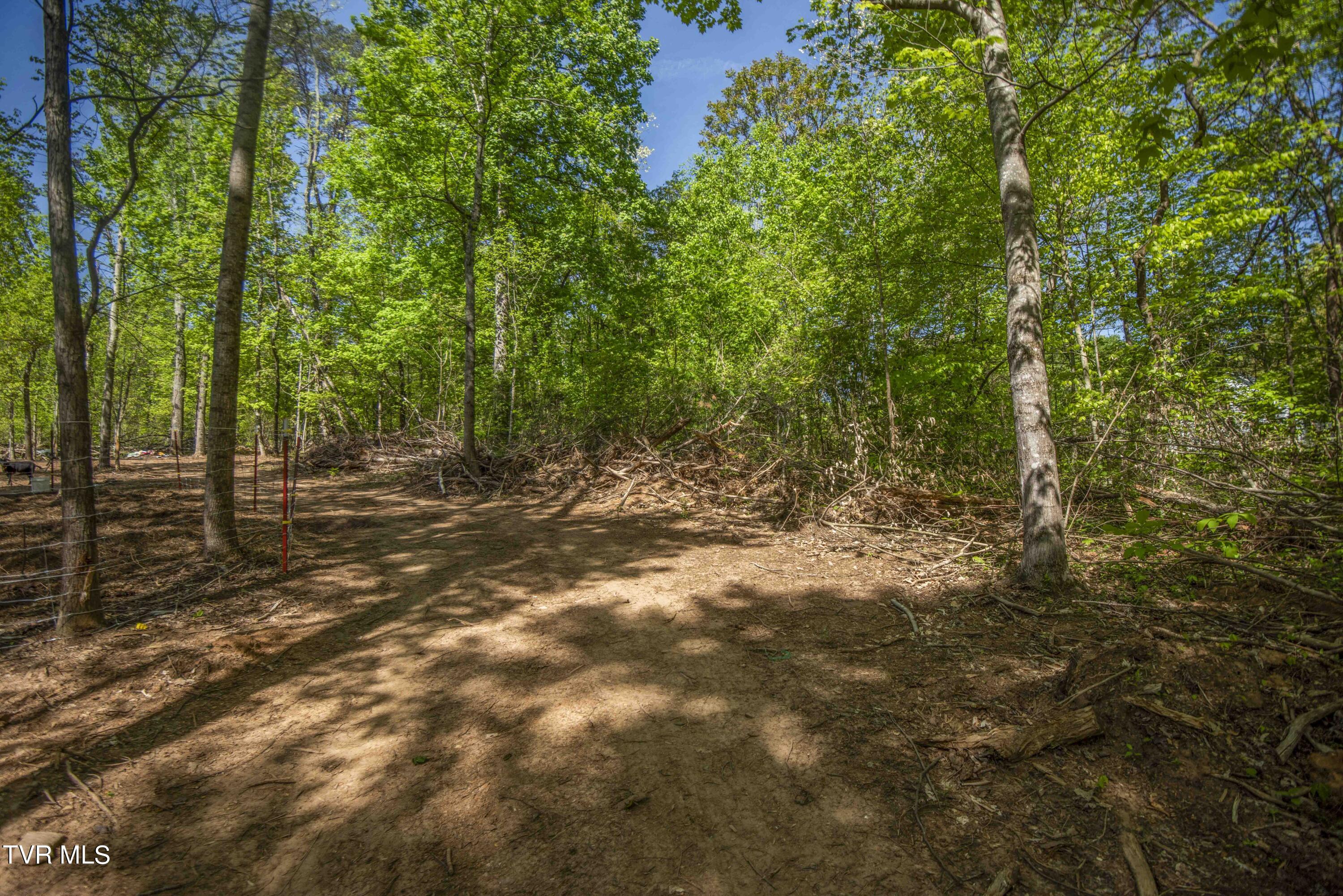 Tbd Dunville Gap Road Rutledge, TN 37861 - Photo 15 of 16 Ground view