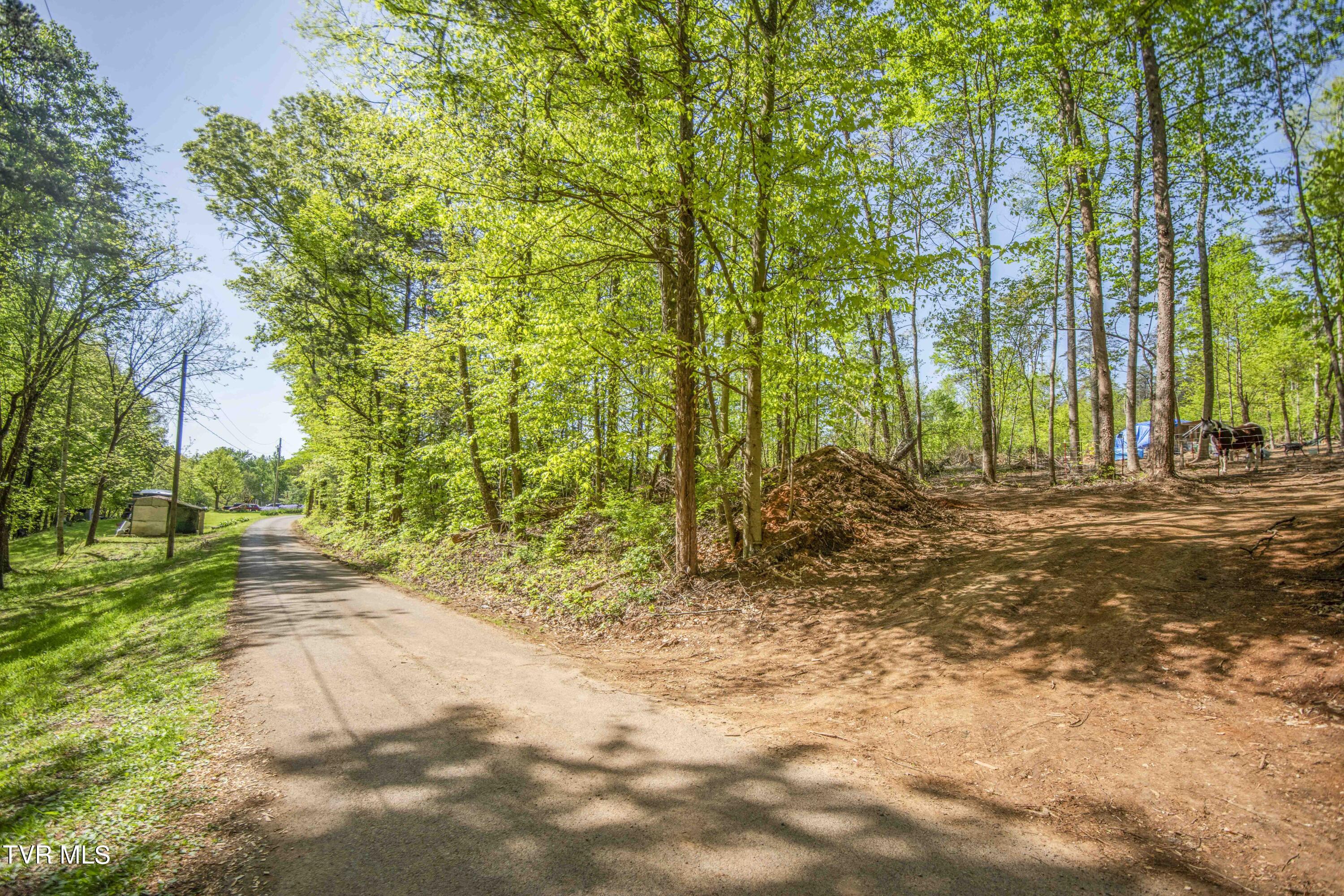 Tbd Dunville Gap Road Rutledge, TN 37861 - Photo 16 of 16 Roadside and property