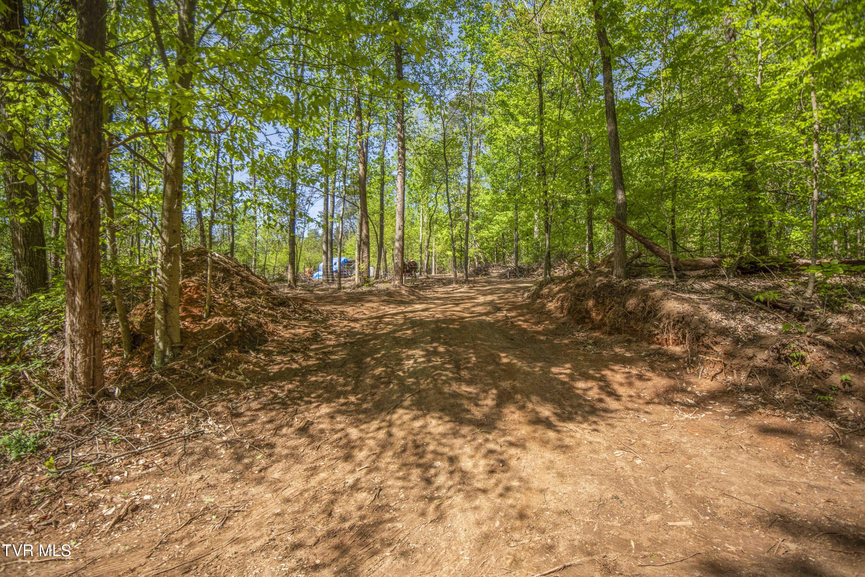 Tbd Dunville Gap Road Rutledge, TN 37861 - Photo 2 of 16 Going into property