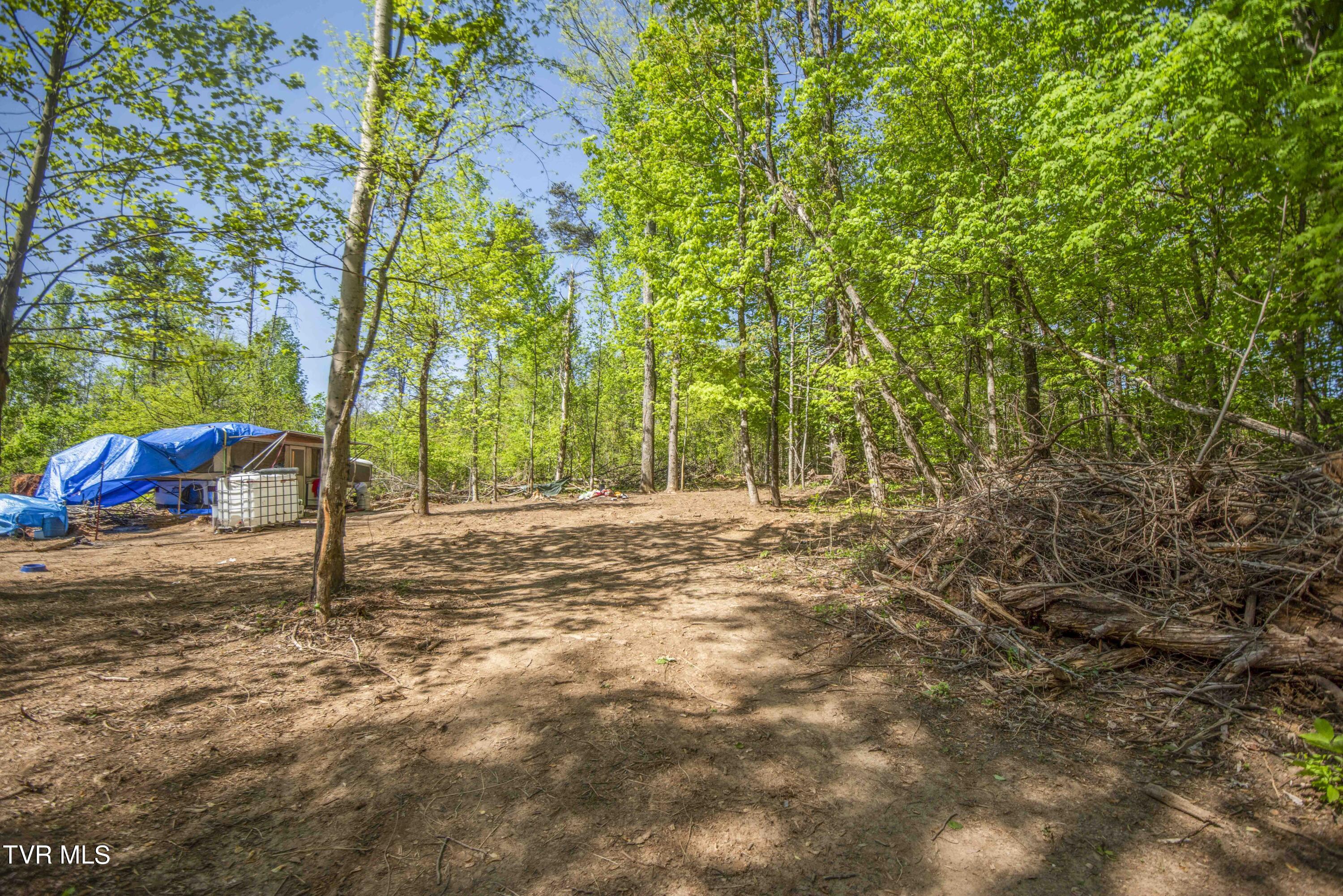 Tbd Dunville Gap Road Rutledge, TN 37861 - Photo 3 of 16 Cleared-possible homesite