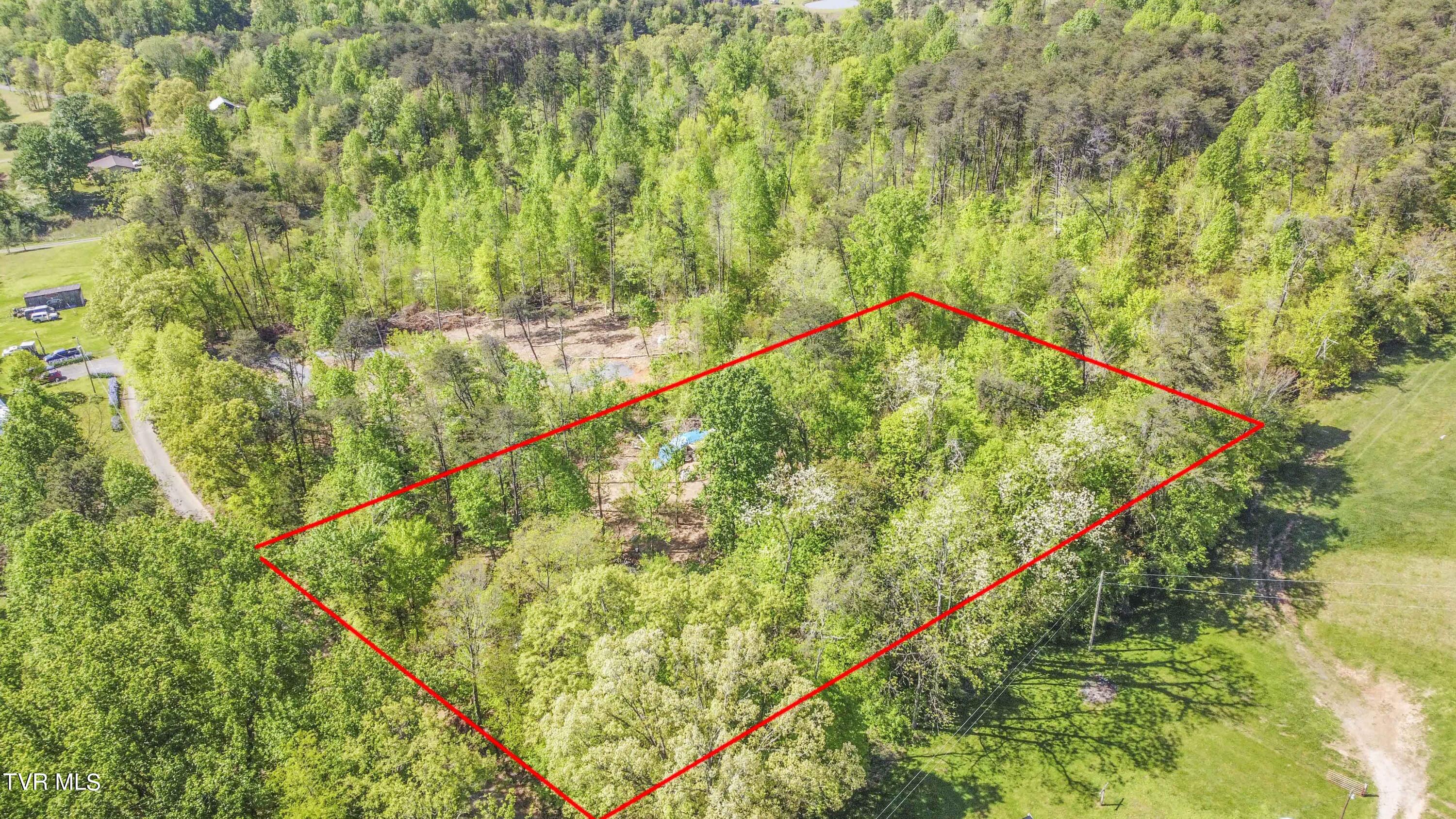 Tbd Dunville Gap Road Rutledge, TN 37861 - Photo 7 of 16 Boundary lines of property