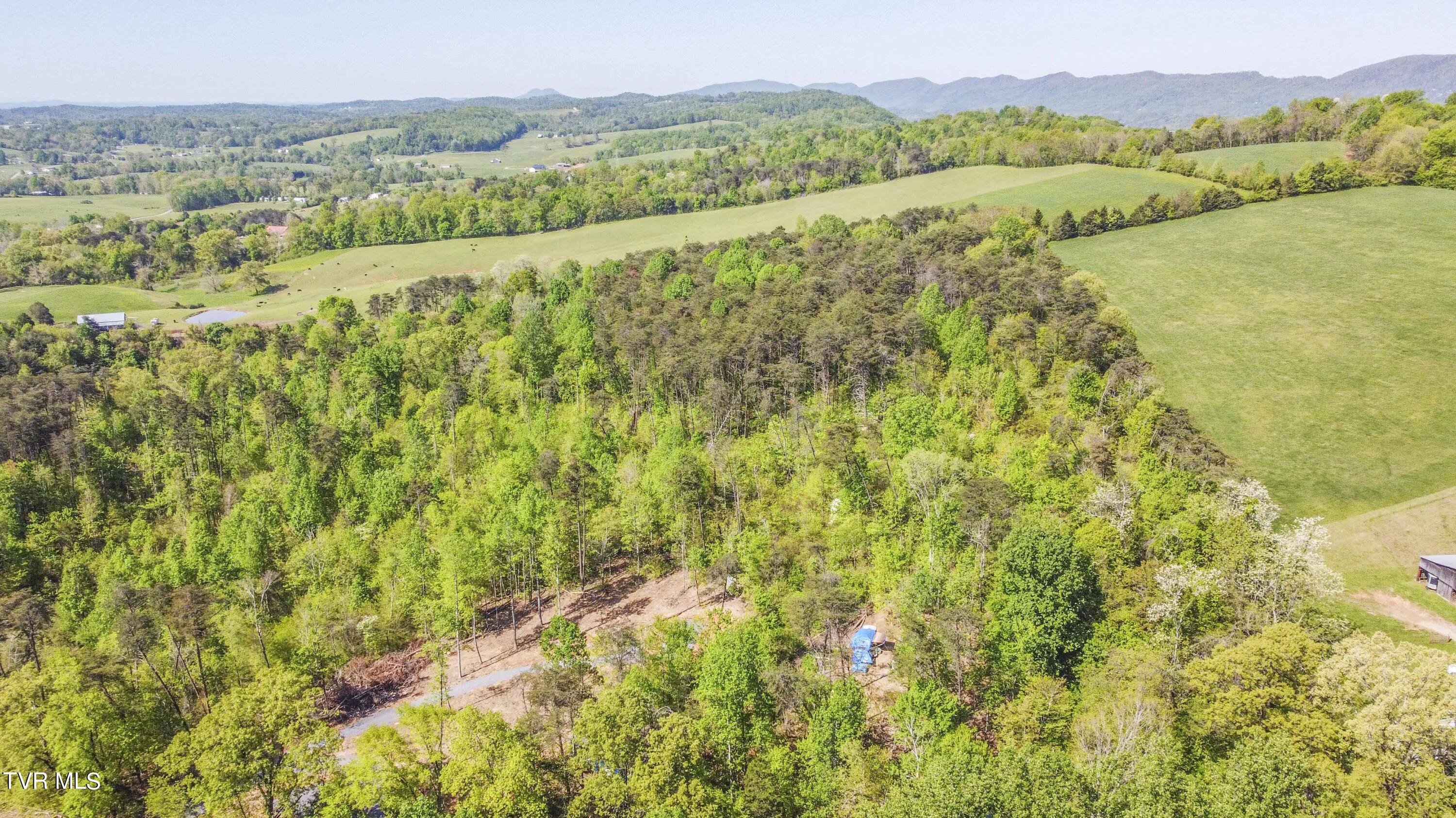 Tbd Dunville Gap Road Rutledge, TN 37861 - Photo 8 of 16 Beautiful mountain view