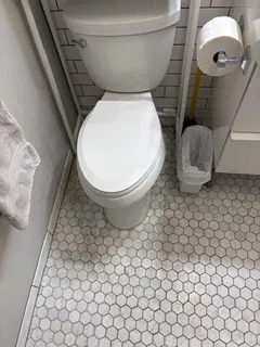 a bathroom with a toilet and a rug