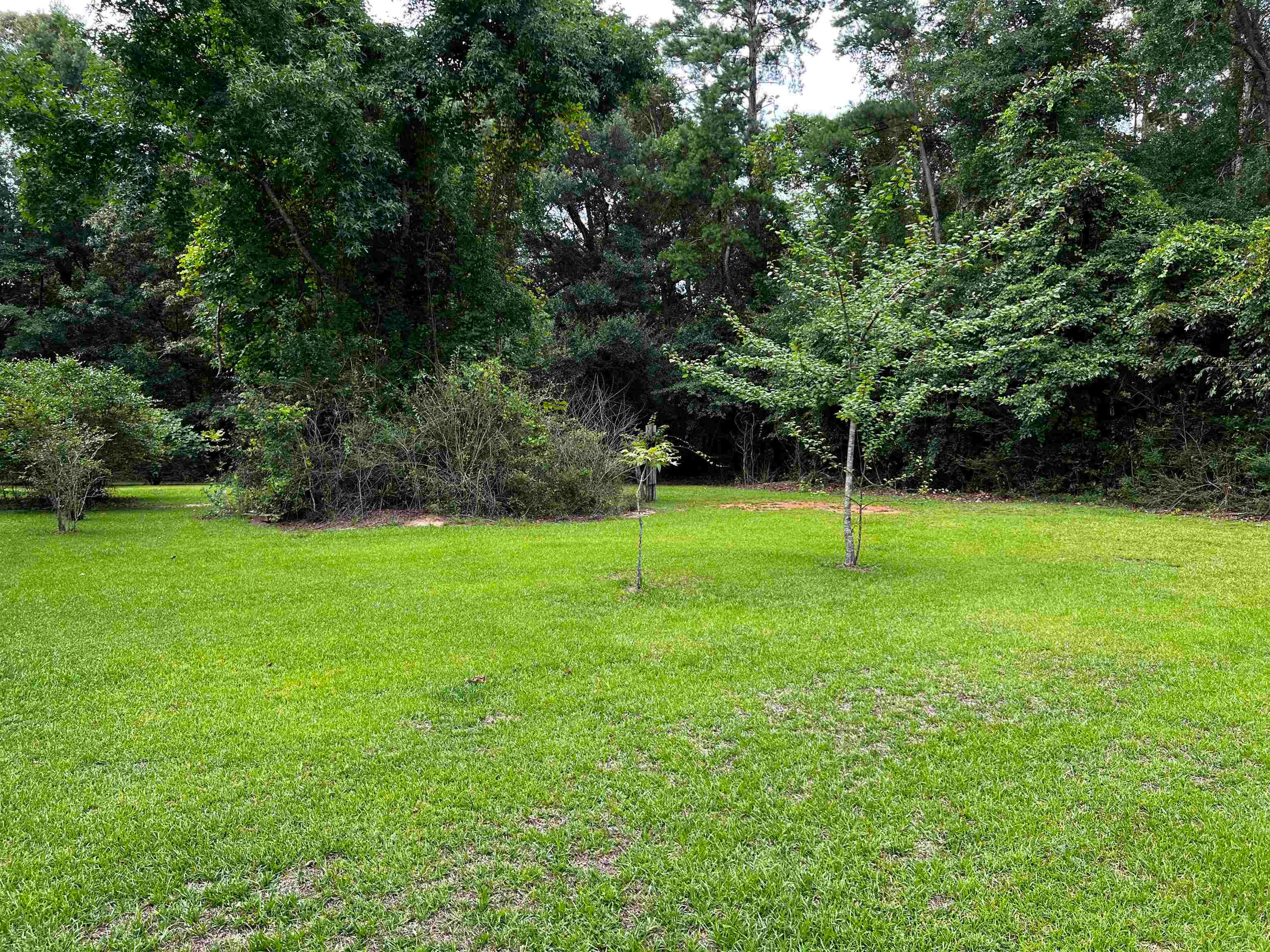 17371 Dunns Bridge Road Andalusia, AL 36421 - Photo 9 of 43 Gallery Image 9