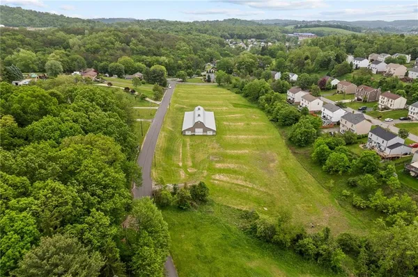 a view of a yard