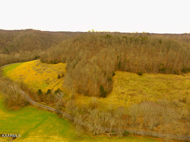 137.01-ac Dry Creek Road Moss, TN 38575 - Photo 3 of 60 DJI_0026
