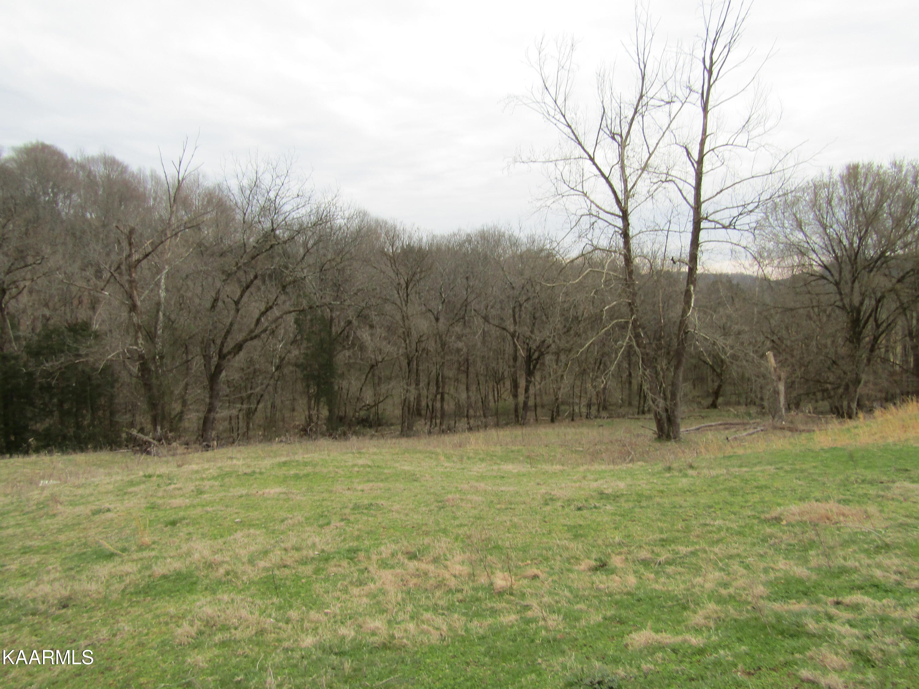 137.01-ac Dry Creek Road Moss, TN 38575 - Photo 38 of 60 IMG_6329