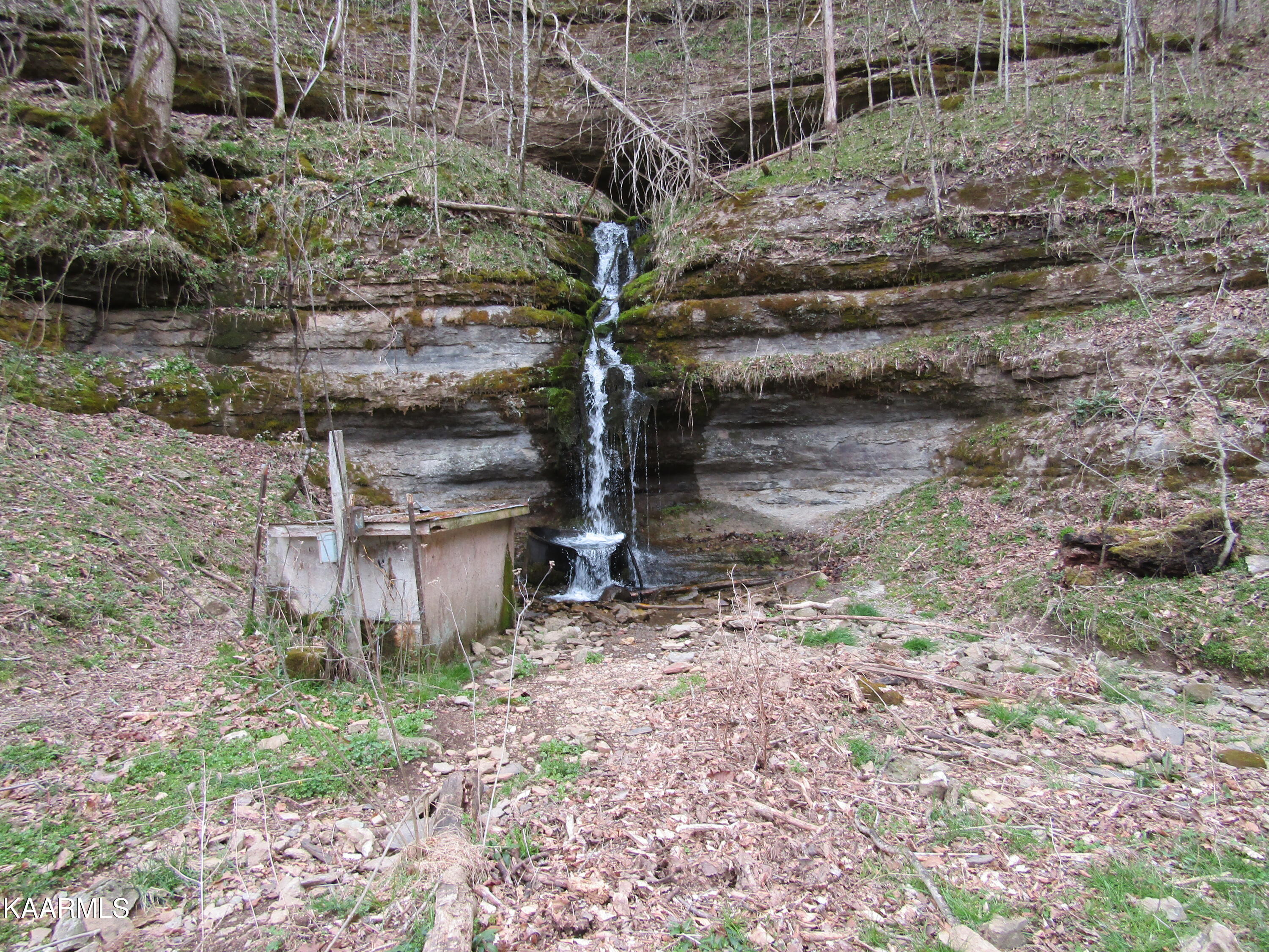 137.01-ac Dry Creek Road Moss, TN 38575 - Photo 40 of 60 IMG_6334
