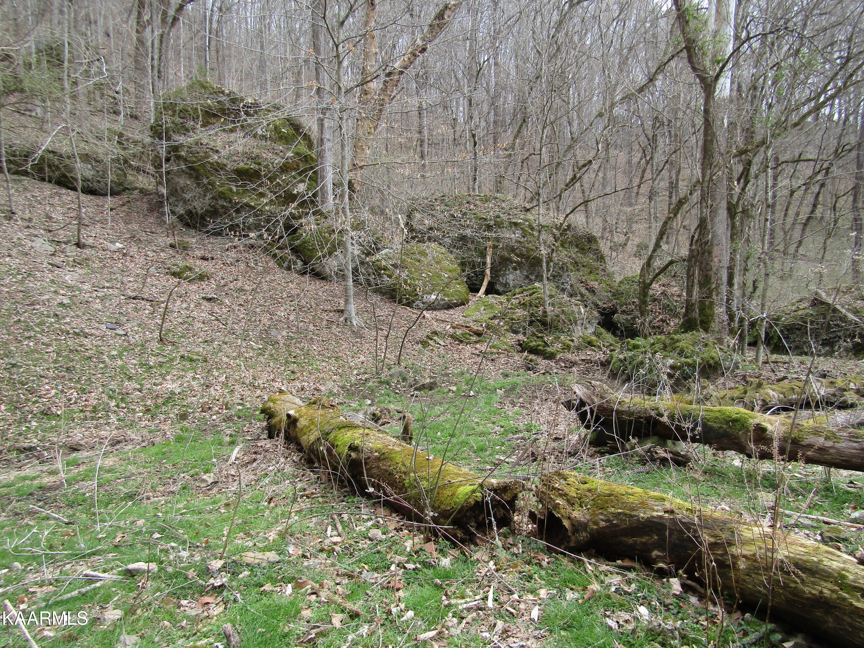 137.01-ac Dry Creek Road Moss, TN 38575 - Photo 44 of 60 IMG_6346