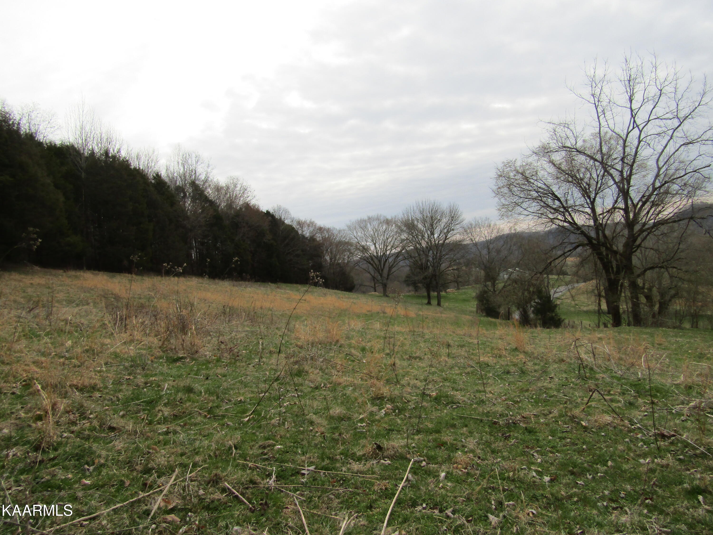 137.01-ac Dry Creek Road Moss, TN 38575 - Photo 54 of 60 IMG_6362