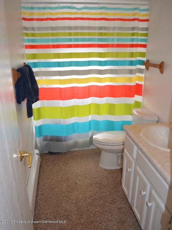 79 Clearwater Road Carbondale, CO 81623 - Photo 12 of 15 DSC_0981