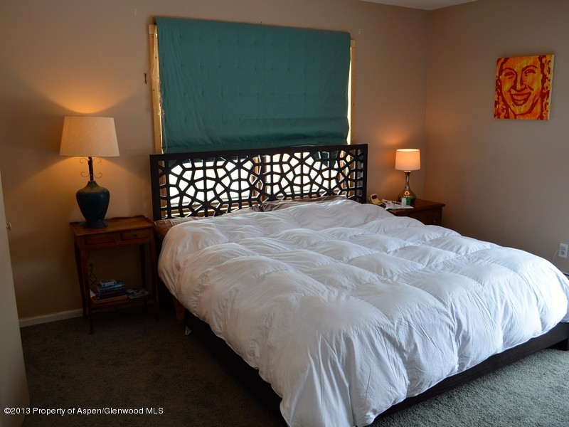 79 Clearwater Road Carbondale, CO 81623 - Photo 8 of 15 DSC_0976