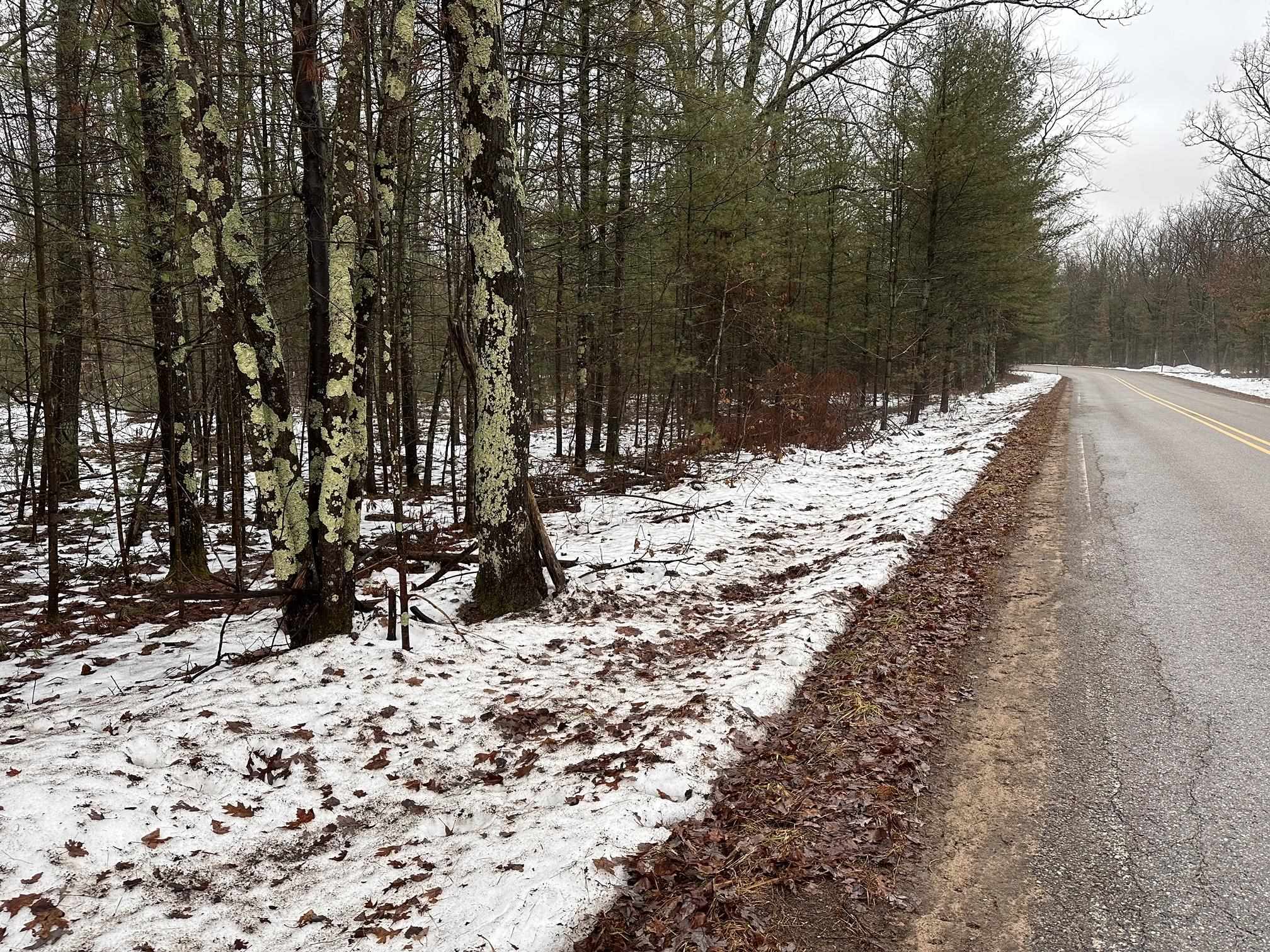 A Albrecht Road Interlochen, MI 49643 - Photo 5 of 5