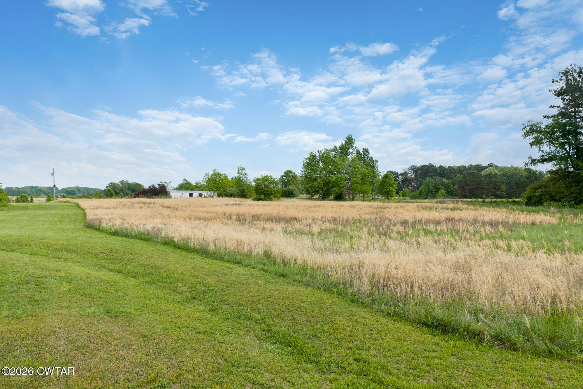 119 Lawrence Road Lexington, TN 38351 - Photo 20 of 20 a view of a lake with a big yard