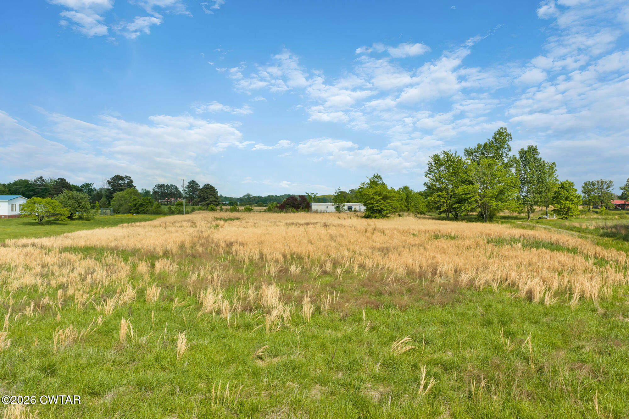 119 Lawrence Road Lexington, TN 38351 - Photo 3 of 20 a view of an outdoor space and yard