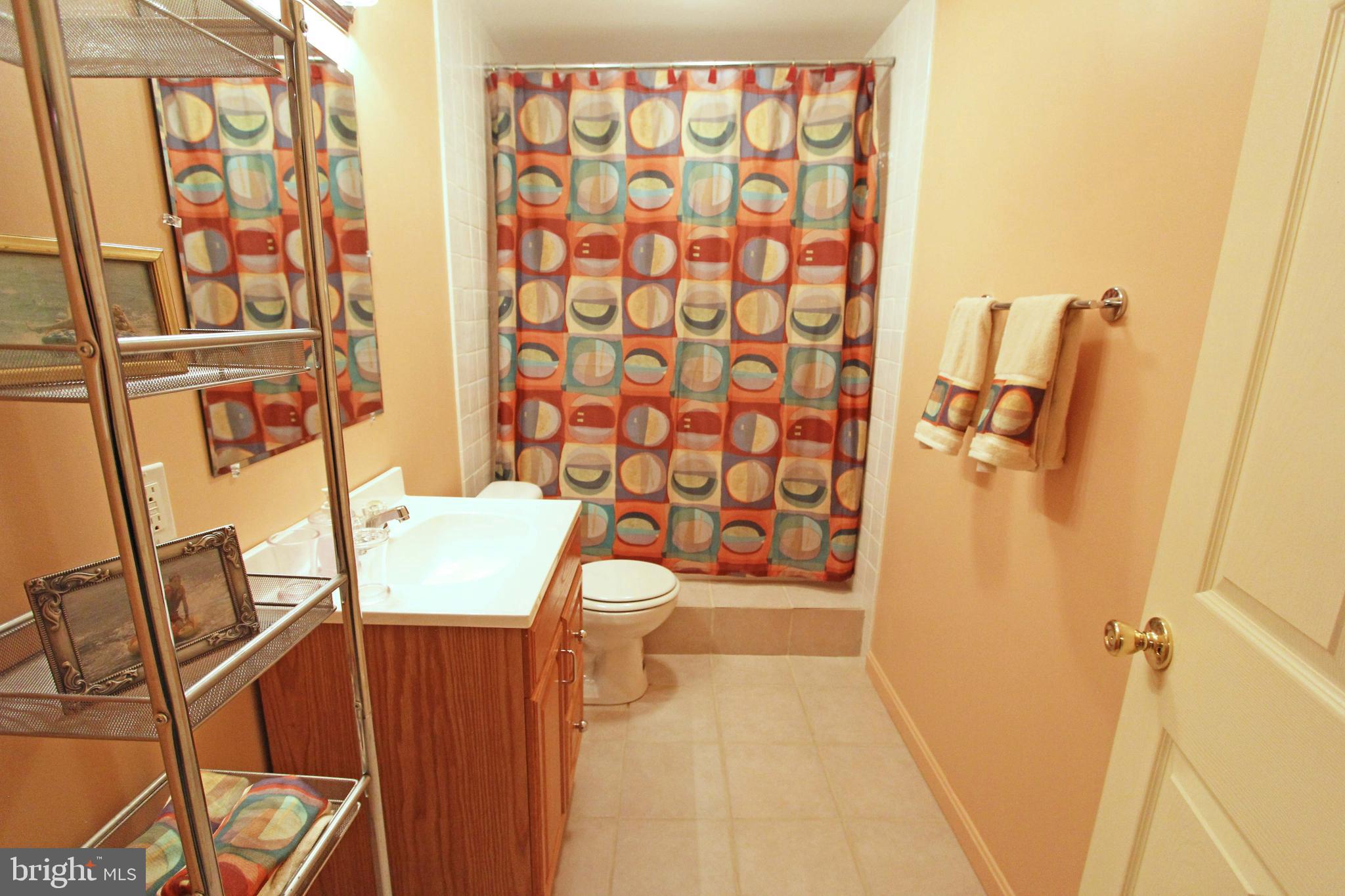 209 Ritterslea Court Owings Mills, MD 21117 - Photo 39 of 46 Gallery Image 39