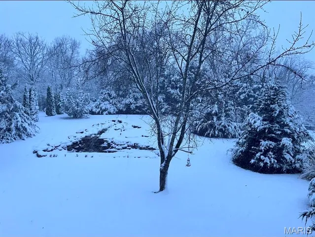 $320,000 | 253 Whitetail Crossing Drive, Troy, MO 63379