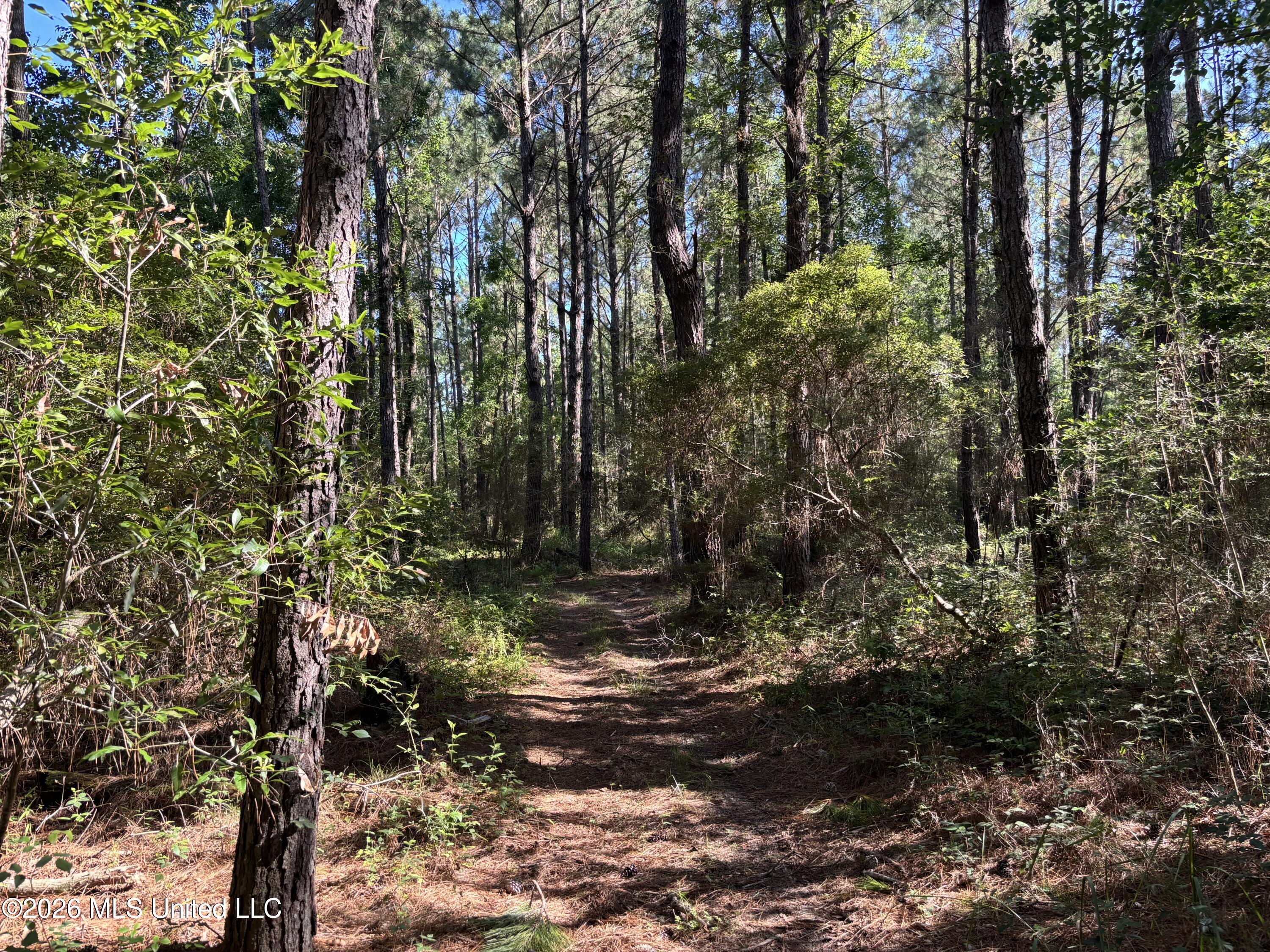 Clark Lane Gulfport, MS 39503 - Photo 10 of 26 IMG_2181