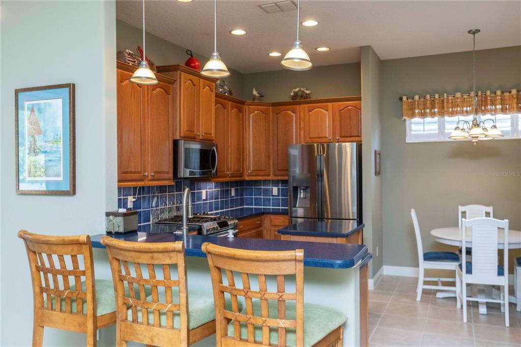 3746 Dogtrot Street New Port Richey, FL 34655 - Photo 11 of 50