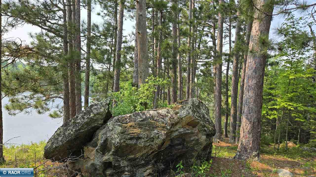 11.85 Bessette Road Orr, MN 55771 - Photo 30 of 50
