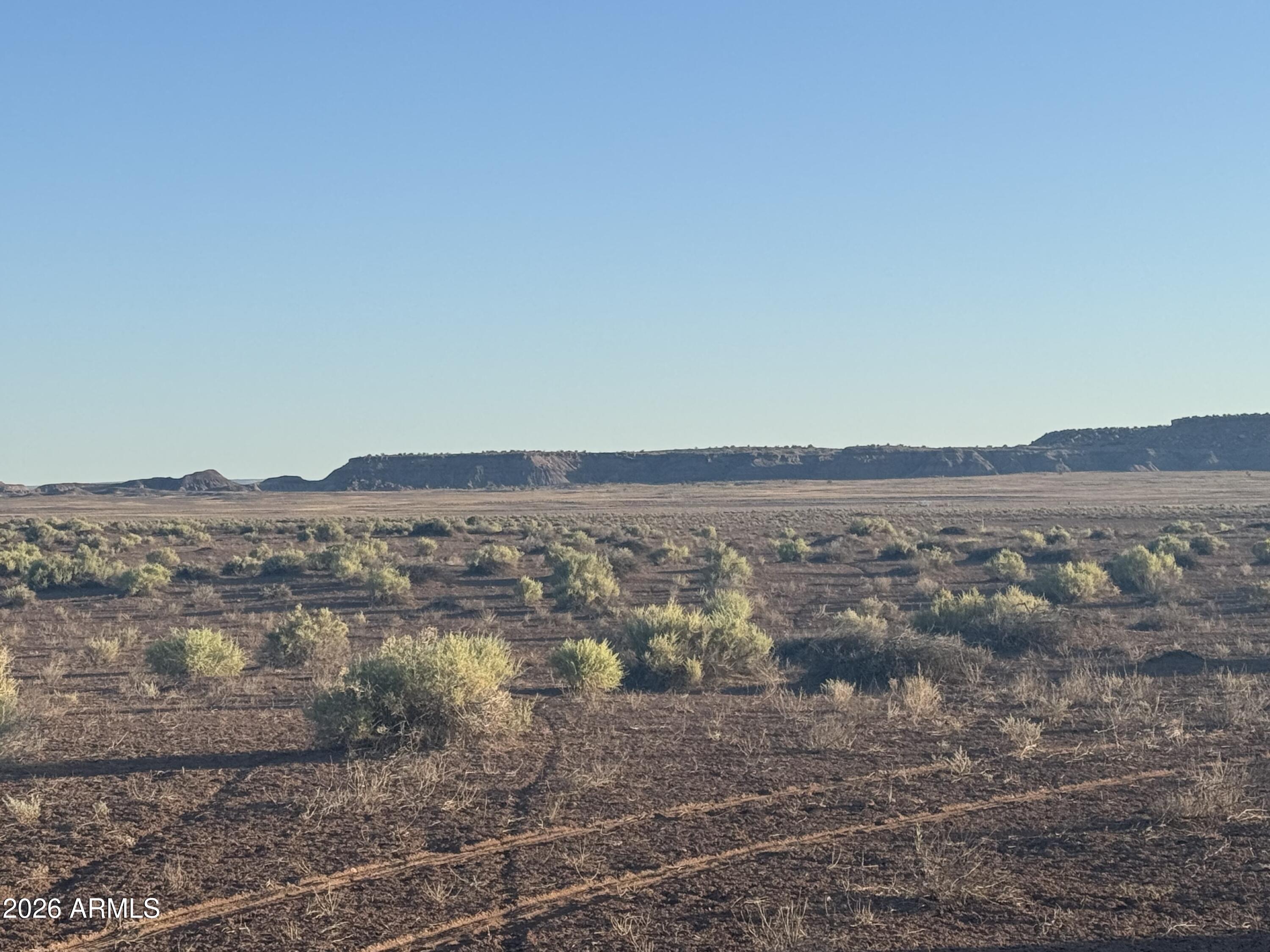 Lot 445 Carrizo Ranch, Unit 445 St. Johns, AZ 85936 - Photo 4 of 17 IMG_1872