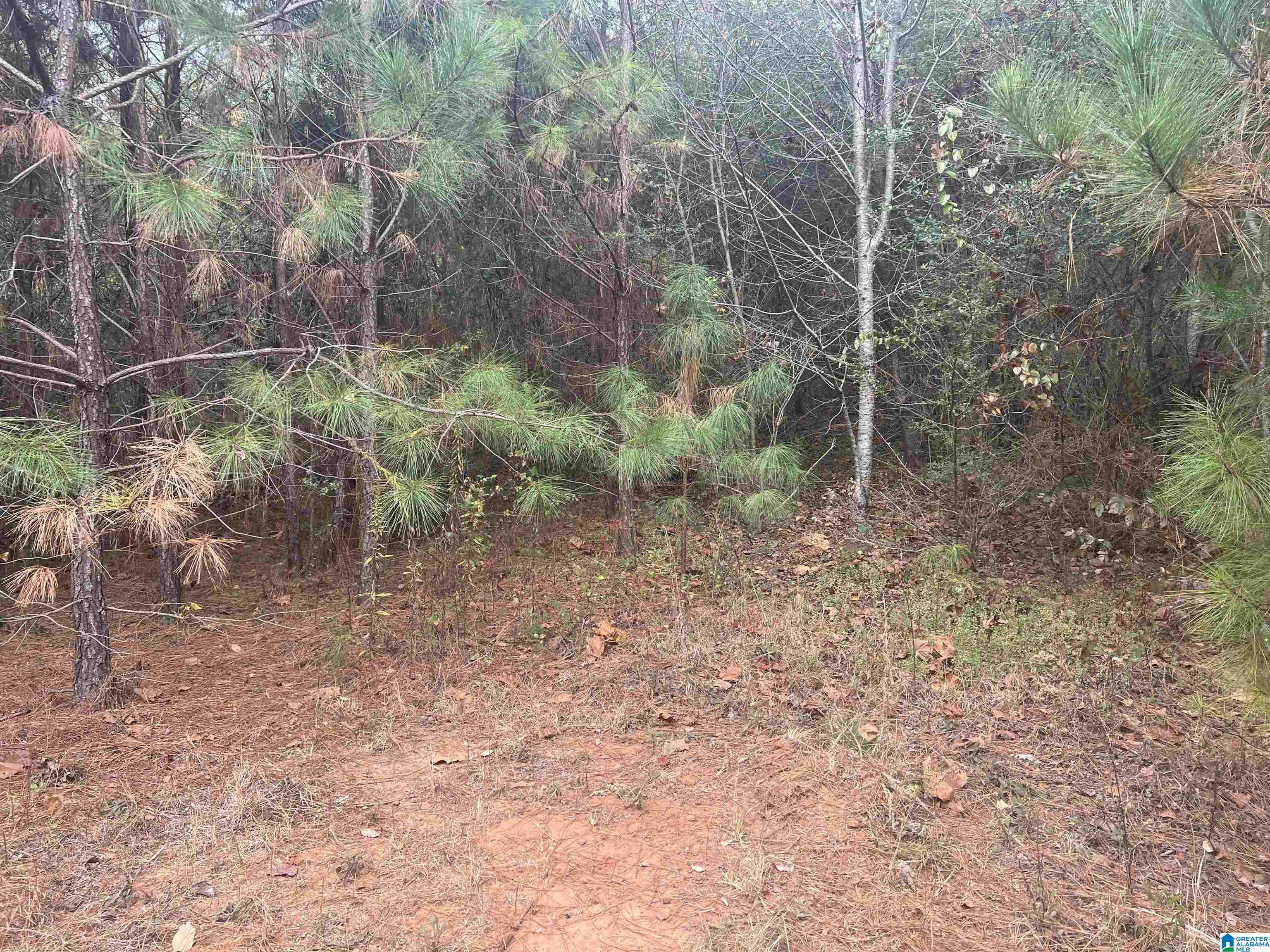 8455 Clayton Road Trussville, AL 35173 - Photo 52 of 65
