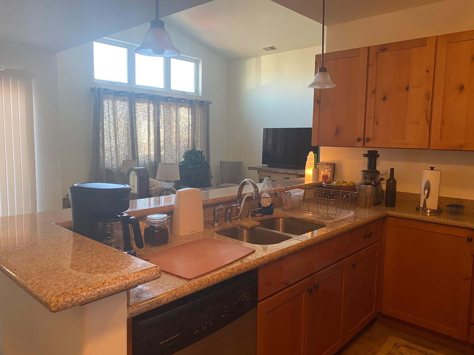 550 Redcliff Circle, Unit D201 Ridgway, CO 81432 - Photo 5 of 9 IMG_7713