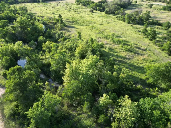 a view of a lush green forest with houses
