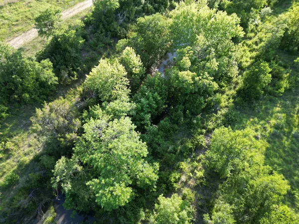 a backyard of a house with lots of trees