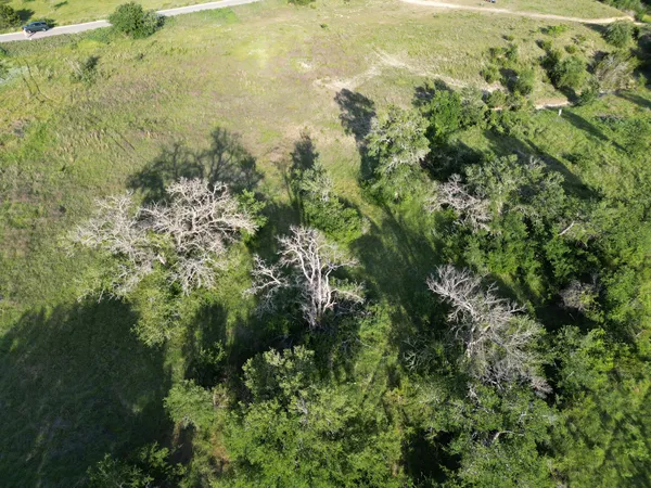 a view of a lake and green valley