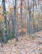3 Rocky Ridge Road Cosby, TN 37722 - Photo 4 of 7 Gallery Image 4