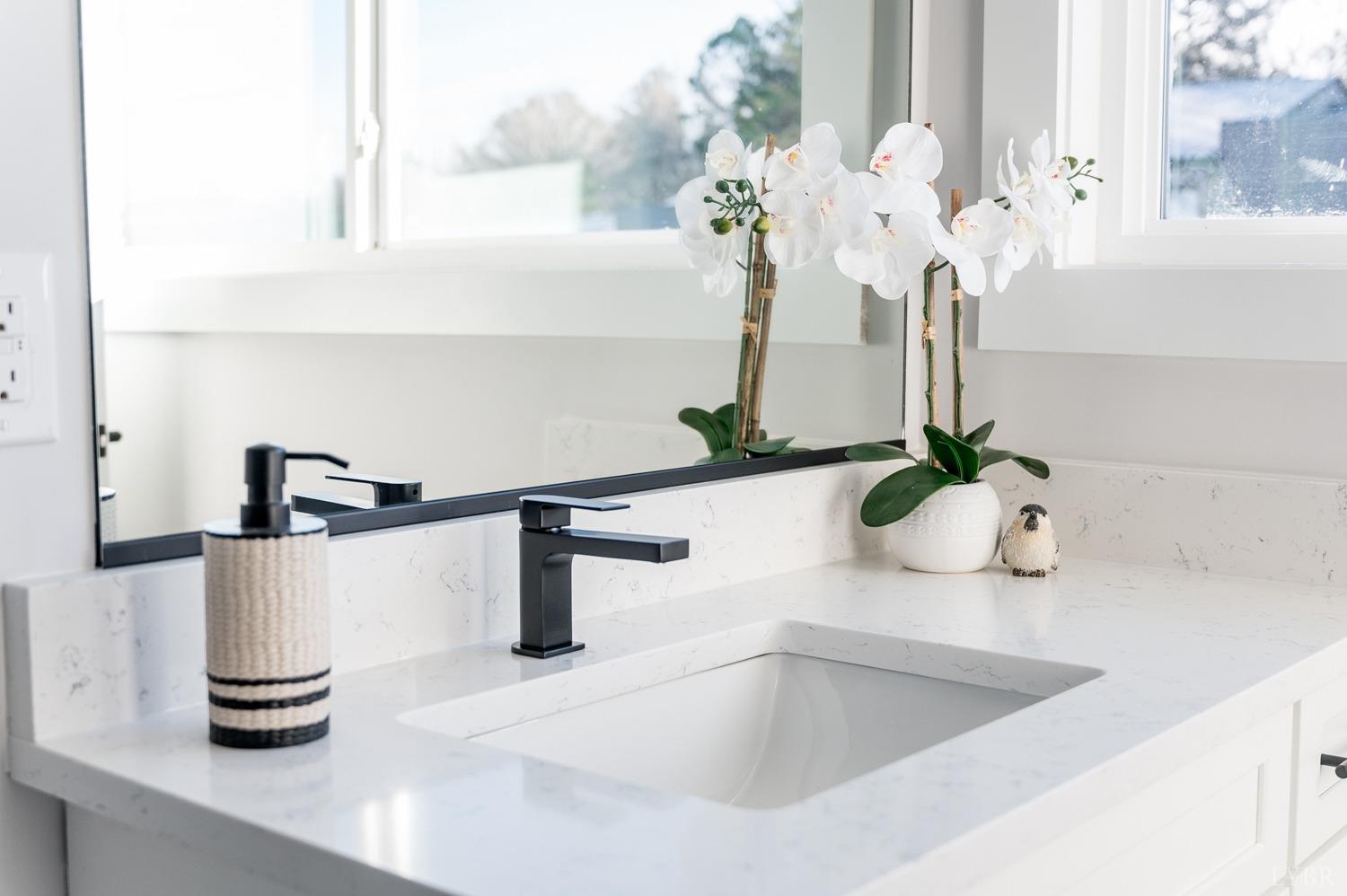 71 Allure Drive Rustburg, VA 24588 - Photo 55 of 56 a bathroom sink with a potted plant