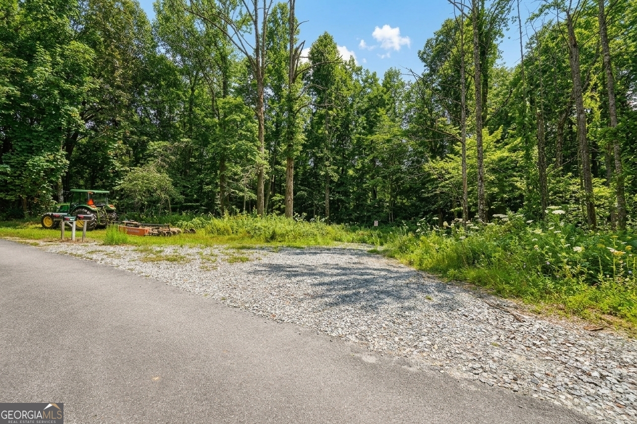 380 Guy Wimpy Road, Unit LOT 2 Dahlonega, GA 30533 - Photo 12 of 23
