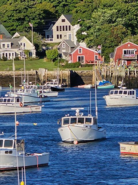 46 Atlantic Avenue Vinalhaven, ME 04863 - Photo 40 of 45 20240903_173317