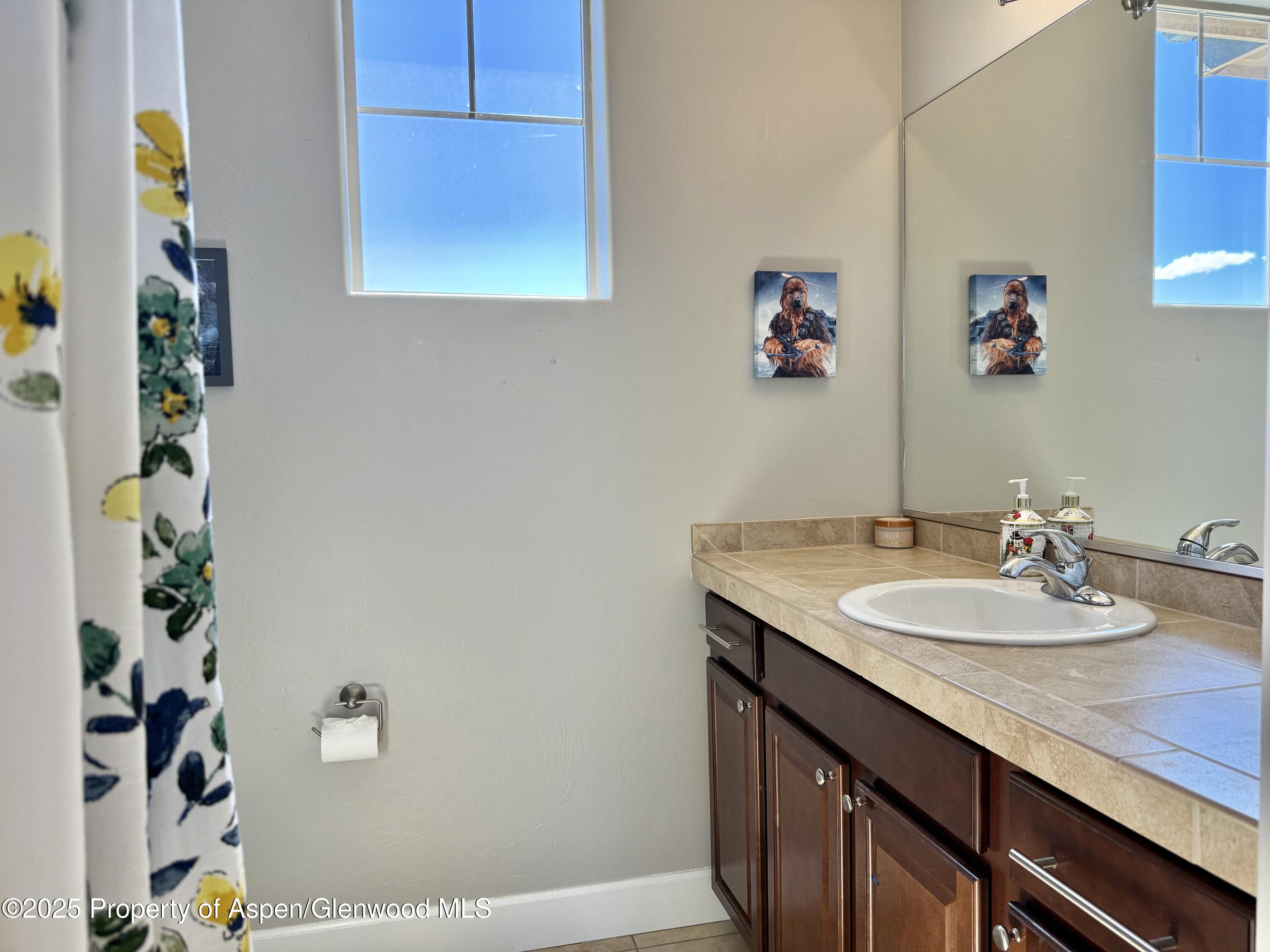 1298 Bedrock Circle Silt, CO 81652 - Photo 24 of 35 IMG_8648