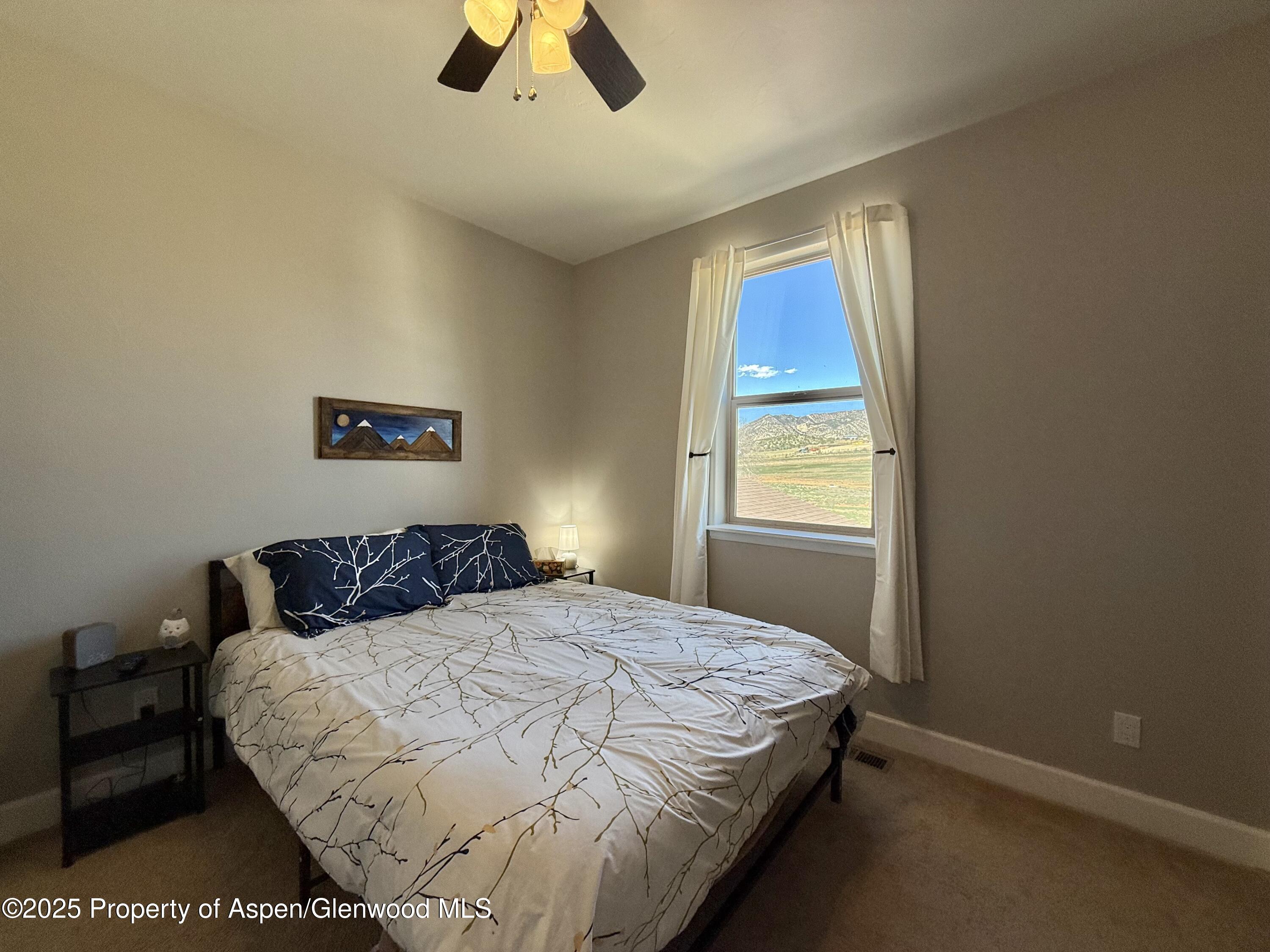 1298 Bedrock Circle Silt, CO 81652 - Photo 26 of 35 IMG_8654