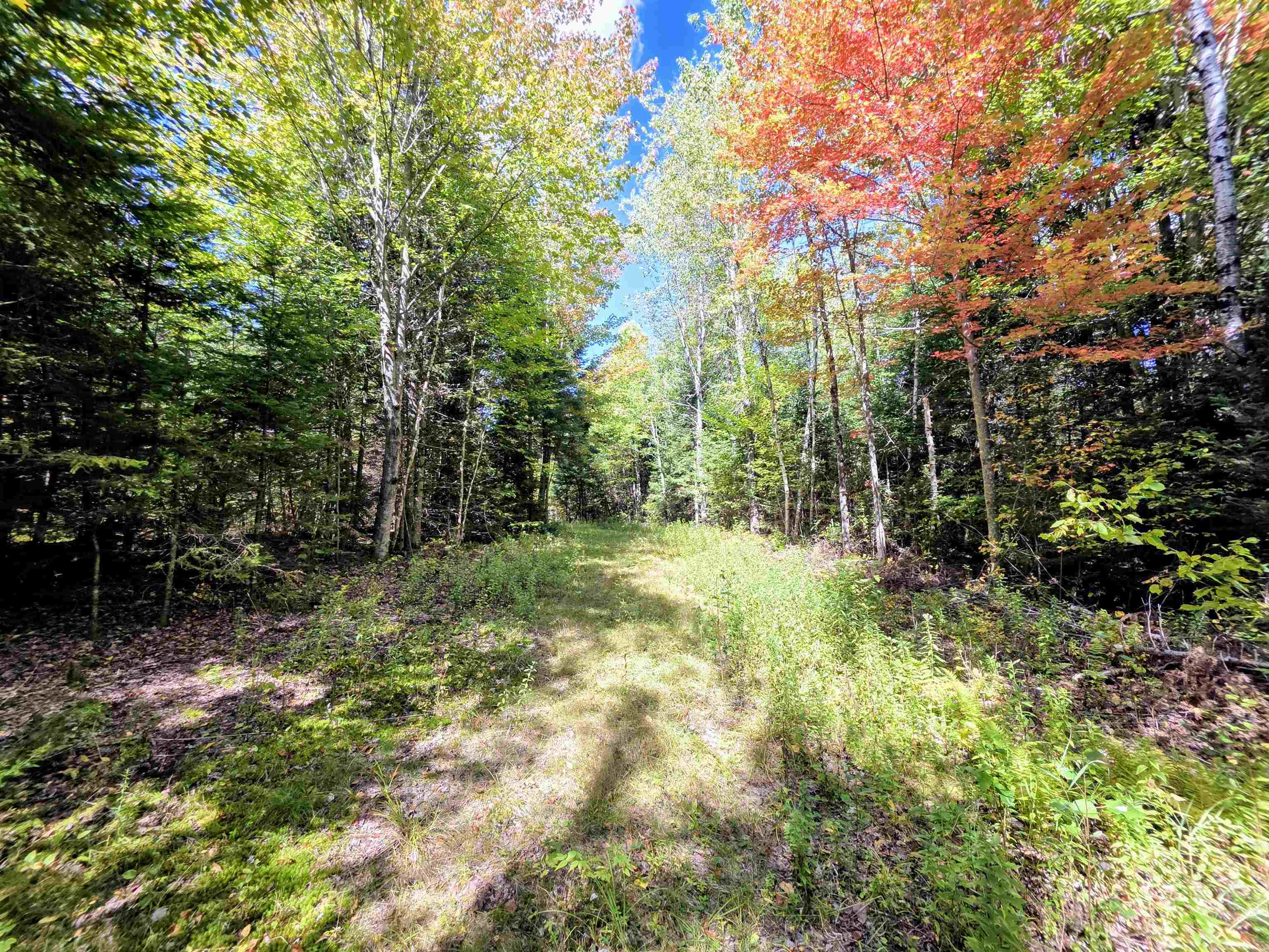 255 Gray Road Columbia, NH 03576 - Photo 50 of 52 Gallery Image 50