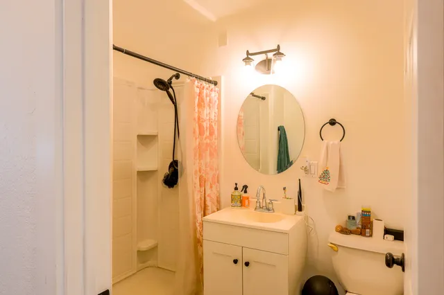 a view of a backyard with plants and a garden