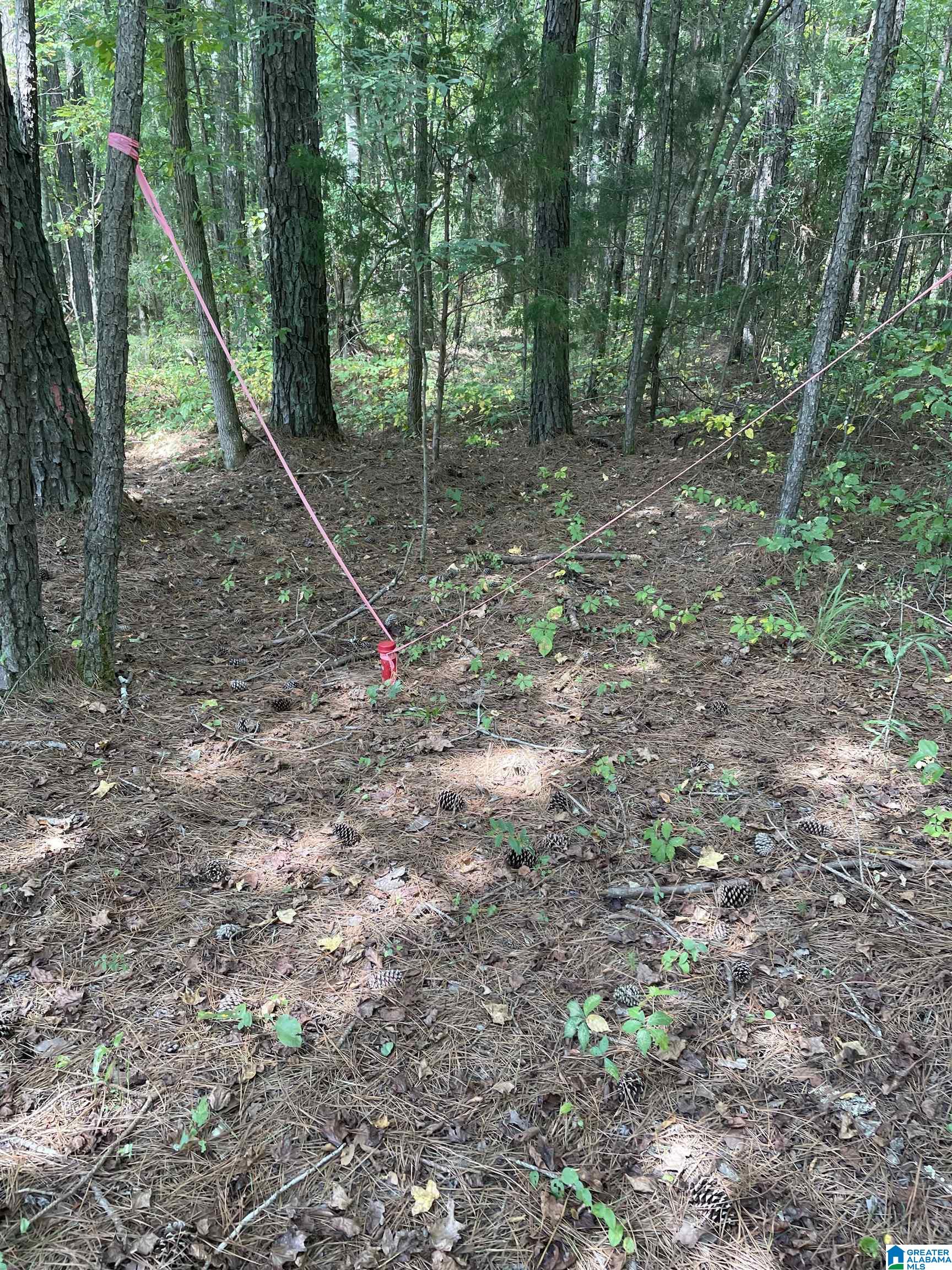 3000 Self Creek Road, Unit LOT 1 Warrior, AL 35180 - Photo 2 of 4