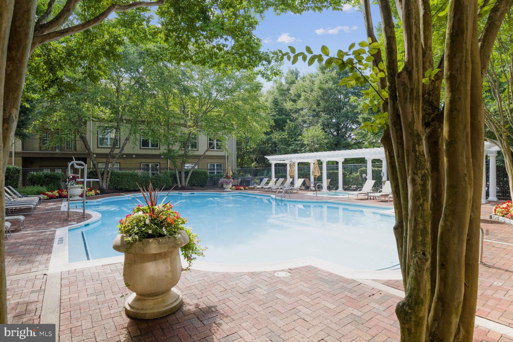 11750 Old Georgetown Road, Unit 2314 Rockville, MD 20852 - Photo 43 of 45 Pool
